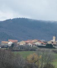 NAVAS